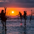Traditional stilt fisherman at sunset in Sri Lanka