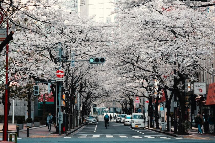 kyoto2.jpg