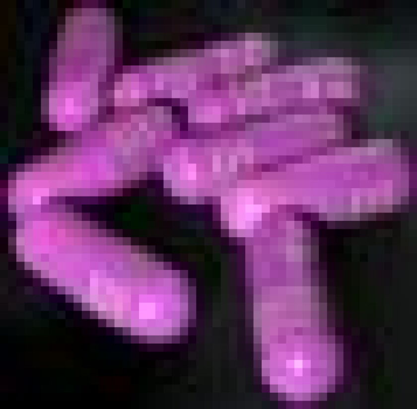drugs50.jpg