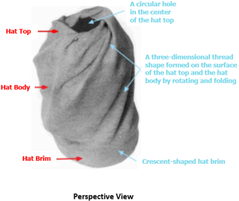Perspective view.png