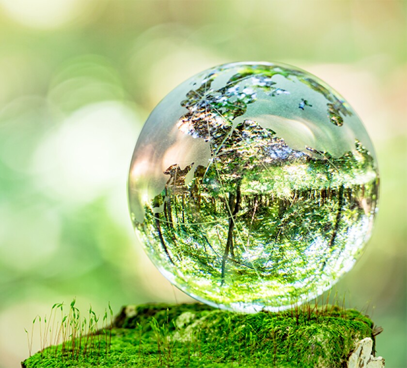 oecd-global-forum-utlines-whatnext-in-the-tax-transparency-revolution.jpg