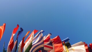 The report demonstrated the OECD's support for VAT on the online sale of goods and services