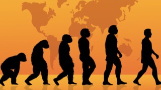 evolution.jpg