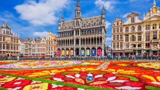 brusselsflowers.jpeg