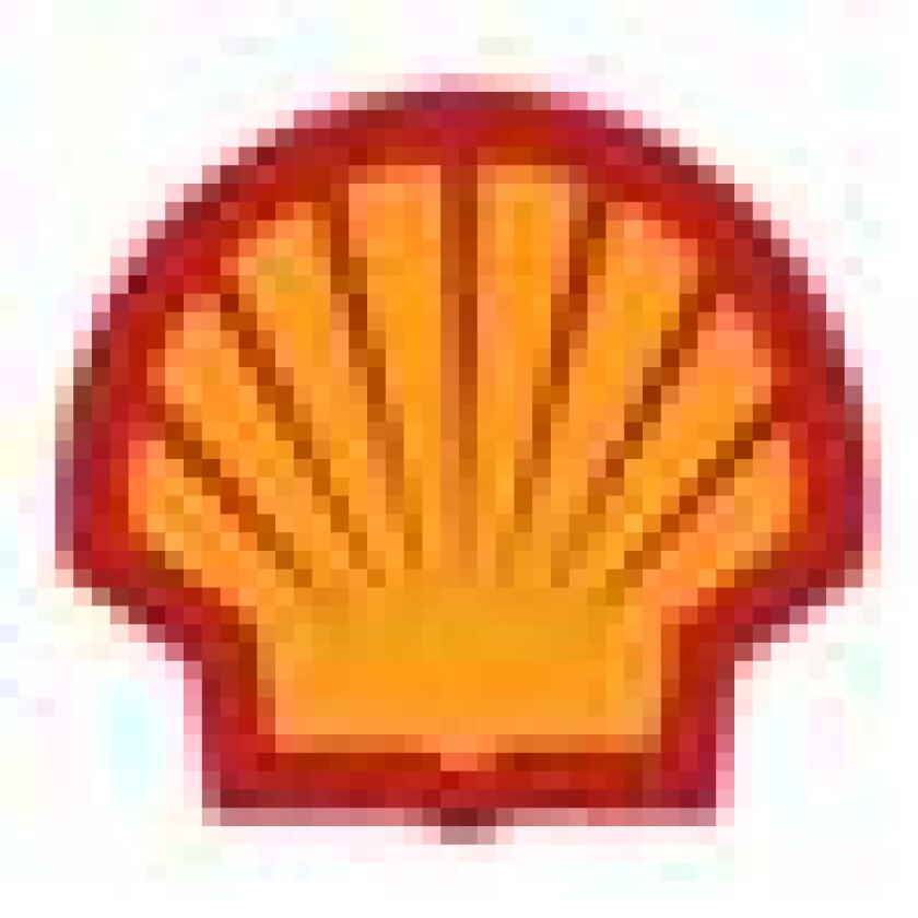 shell50.jpg