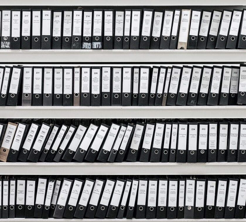 Will mandatory disclosures end CRS avoidance