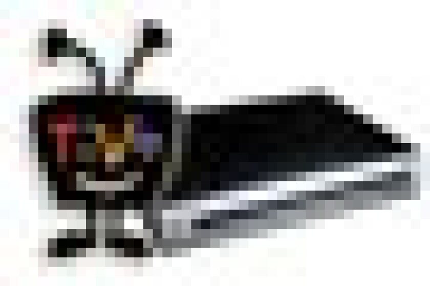 tivo-small.jpg