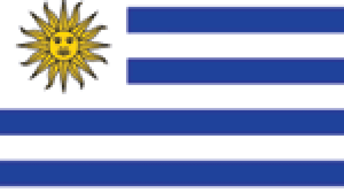 Uruguay agrees double tax treaty with India | International Tax Review