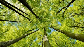 Tax is advancing ESG outcomes at Uber and other large businesses