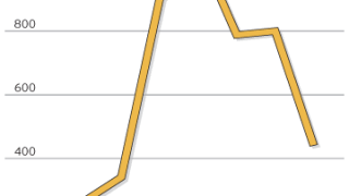 software-graph.gif