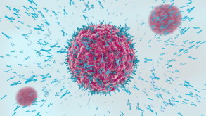 antibodies.jpg
