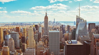 NY