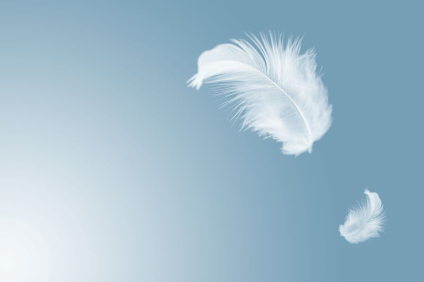 feather touch
