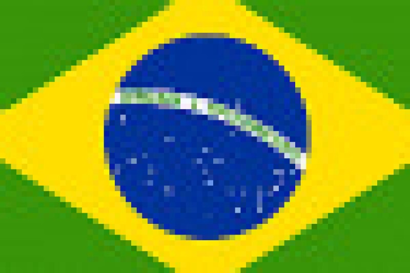brazil-flagsmall.jpg