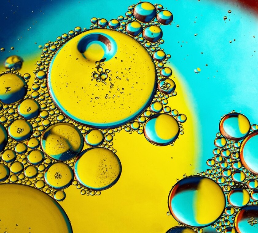 WMSB is a company principally engaged in trading of edible oil products