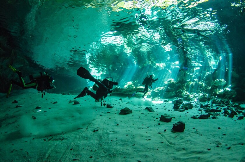 Yucatan cenotes, Mexico.