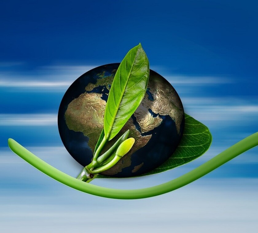 The future role of green taxes will be more relevant than ever