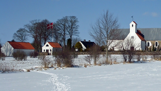 Snowy Danish countryside