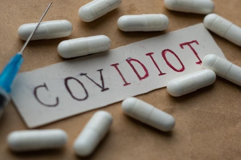 covidiot-comp.jpg
