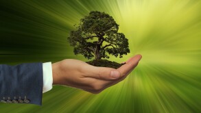 sustainability-3303398.jpg