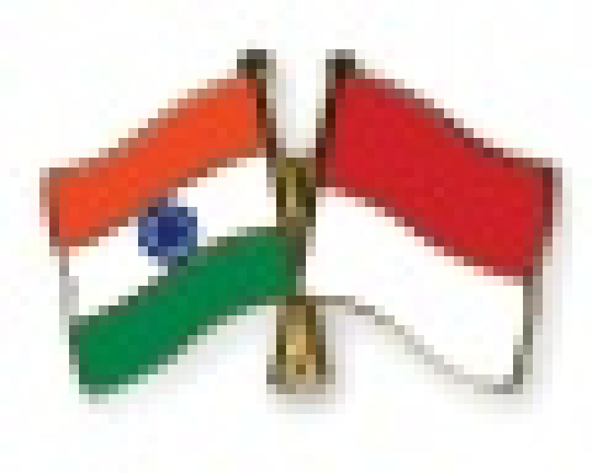 india-indonesia.jpg
