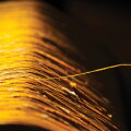 cover-600.jpg