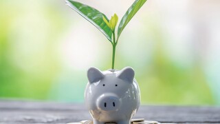 Tax policy is now more bound up with issues of environmental accountability