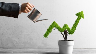 Concept of investment income and growth with tree in pot