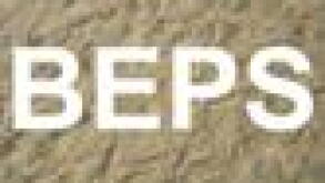 beps.jpg