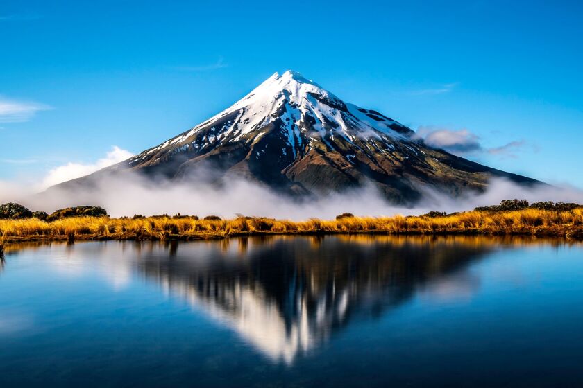 NZ backdrop.jpeg