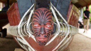 new-zealand-1435231.jpg