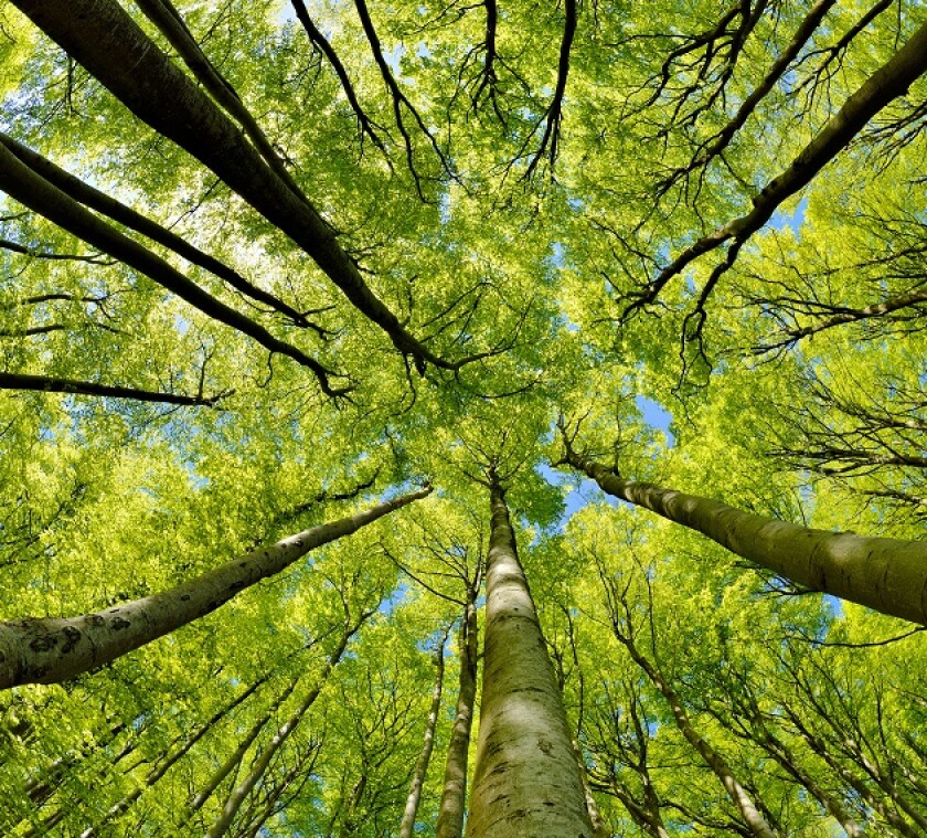 Tax is advancing ESG outcomes at Uber and other large businesses