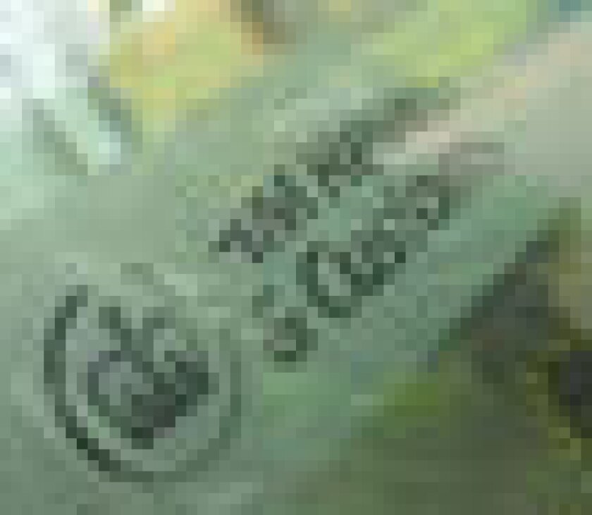 hmrc-puff.jpg