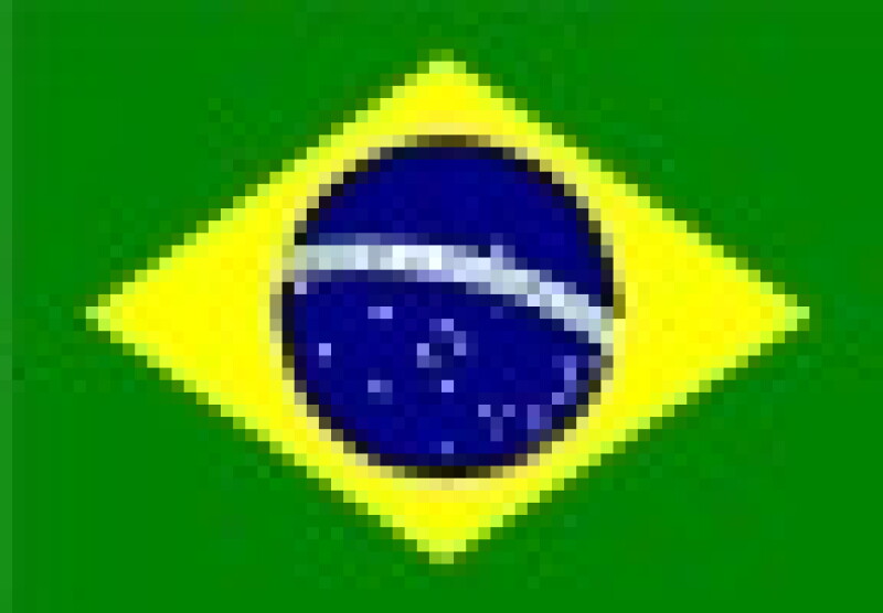 brazfla.jpg