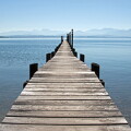 jetty-lg.jpg