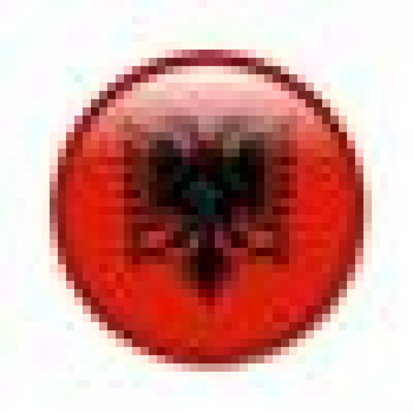 albania-flag.jpg