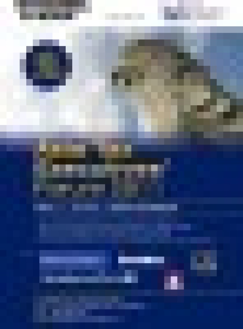 atef20webthumbsmall.jpg