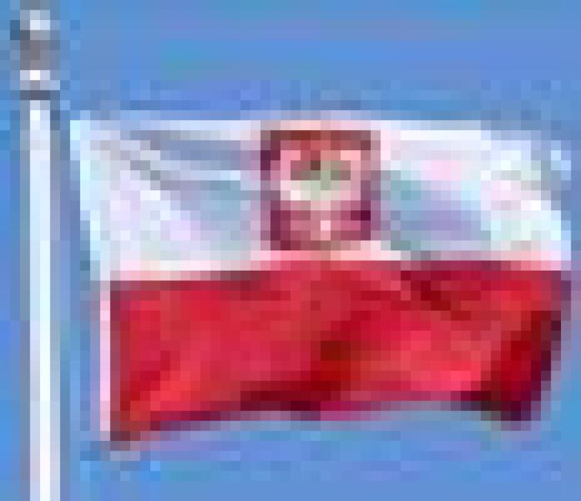 apolish-flag27.jpg
