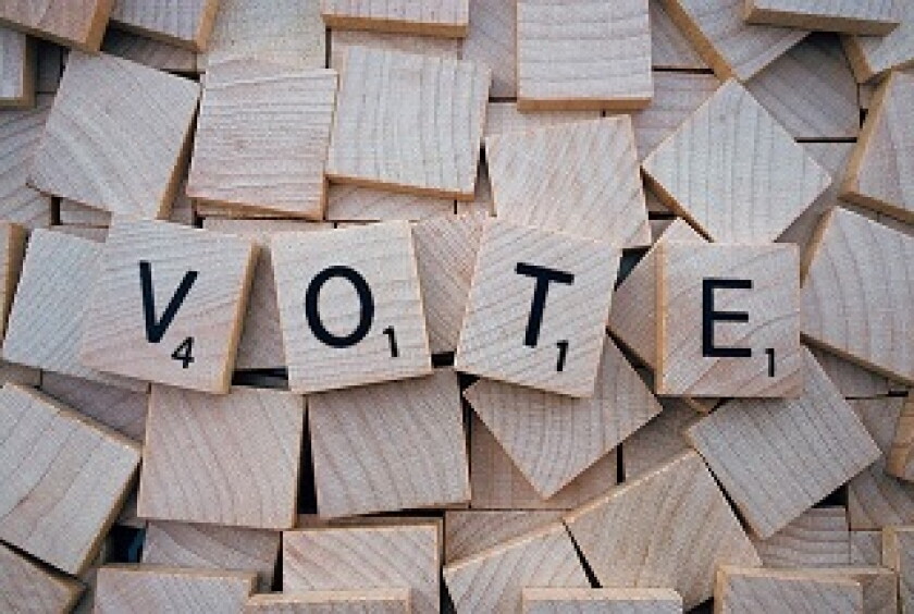 vote-320 x 215