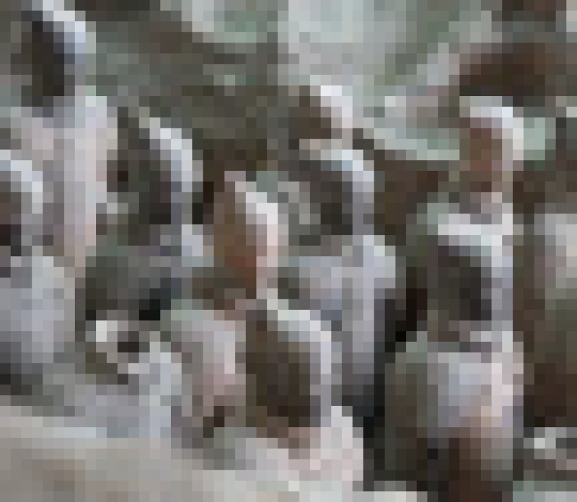 army-puff.jpg