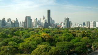 Public park and high-rise buildings cityscape in metropolis city center