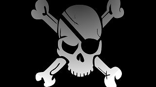 skull 320 x 215