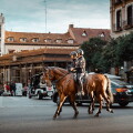 madrid.jpg