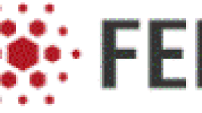 fei-logo-small.gif