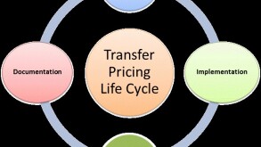 TP Lifecycle