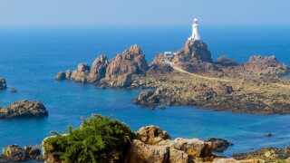 Field plant in the foreground and La Corbiere Lighthouse in a ha