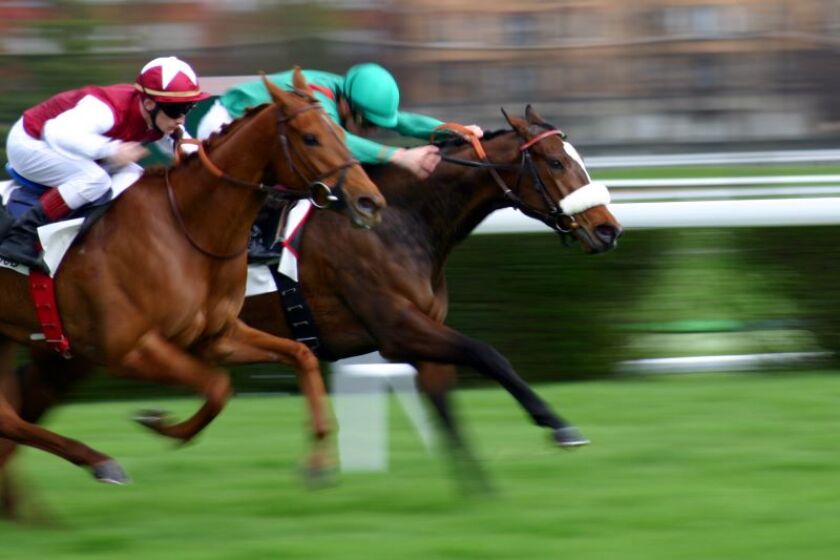 horse-race.jpeg