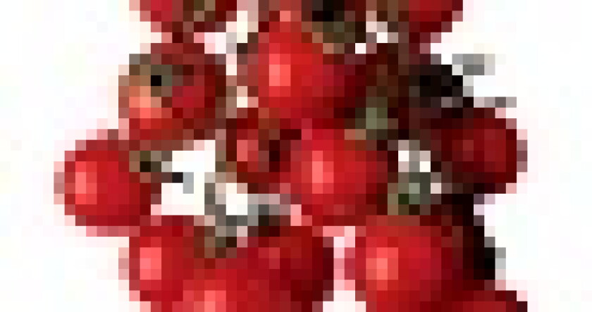 tomatoes-55.jpg