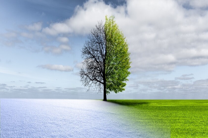 wintertransition