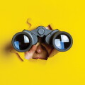 OpenLux highlights the shortcomings of EU tax transparency